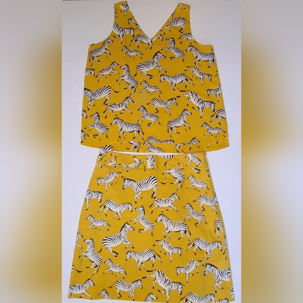 Ann Taylor Factory Rust Yellow Zebra Animal Print Skirt & Tank Set Size XS & 4 - Picture 4 of 14